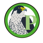 Peregrine No Background PNG